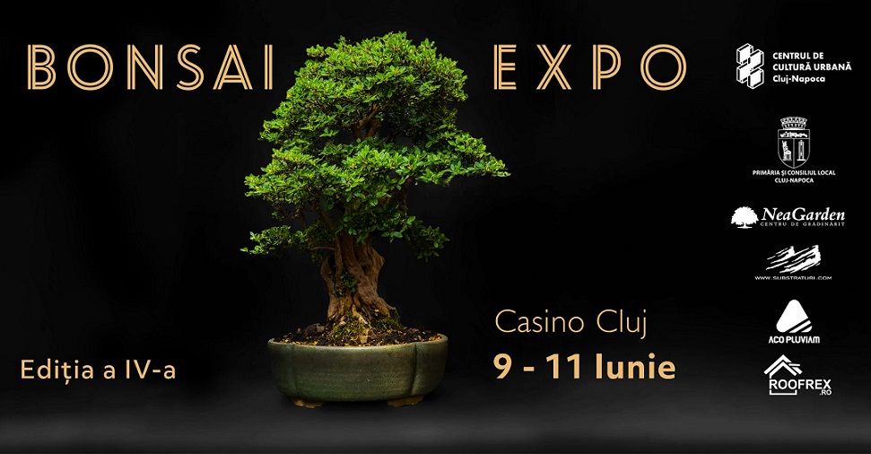 Bonsai Expo 9-11 iunie